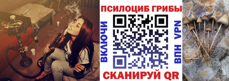 Галлюциногенные грибы ЛСД  закладка  Новоржев 
